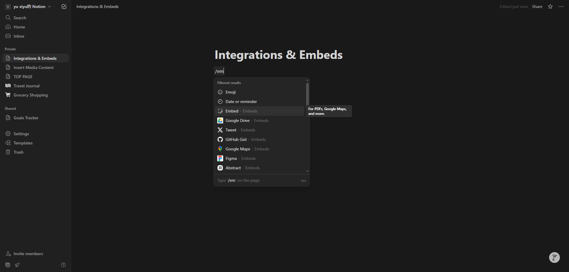 Screenshot for Access Notion Embed Options