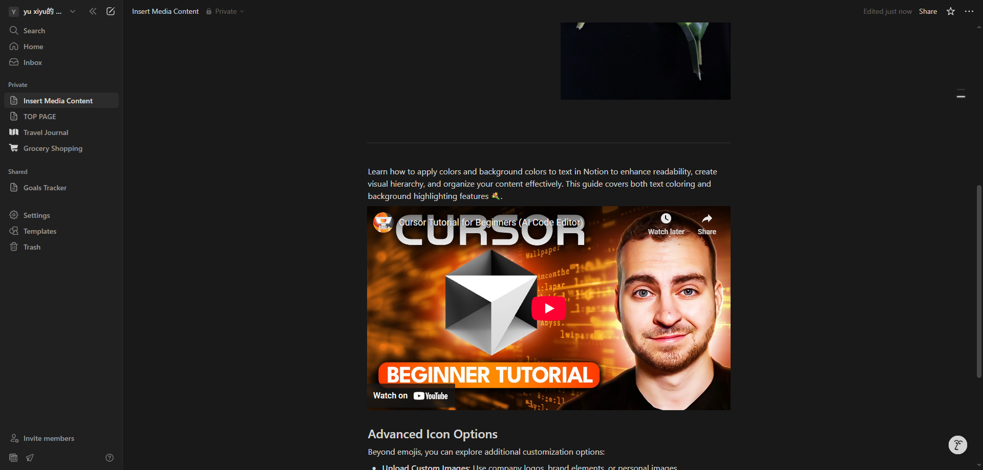 Screenshot for Video Successfully Embedded